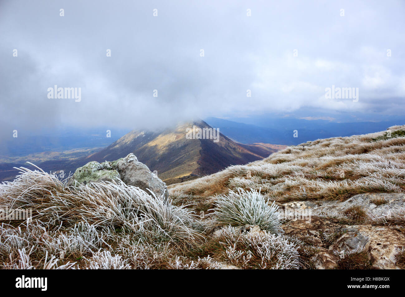 Frozen grass on hight mountain Stock Photo