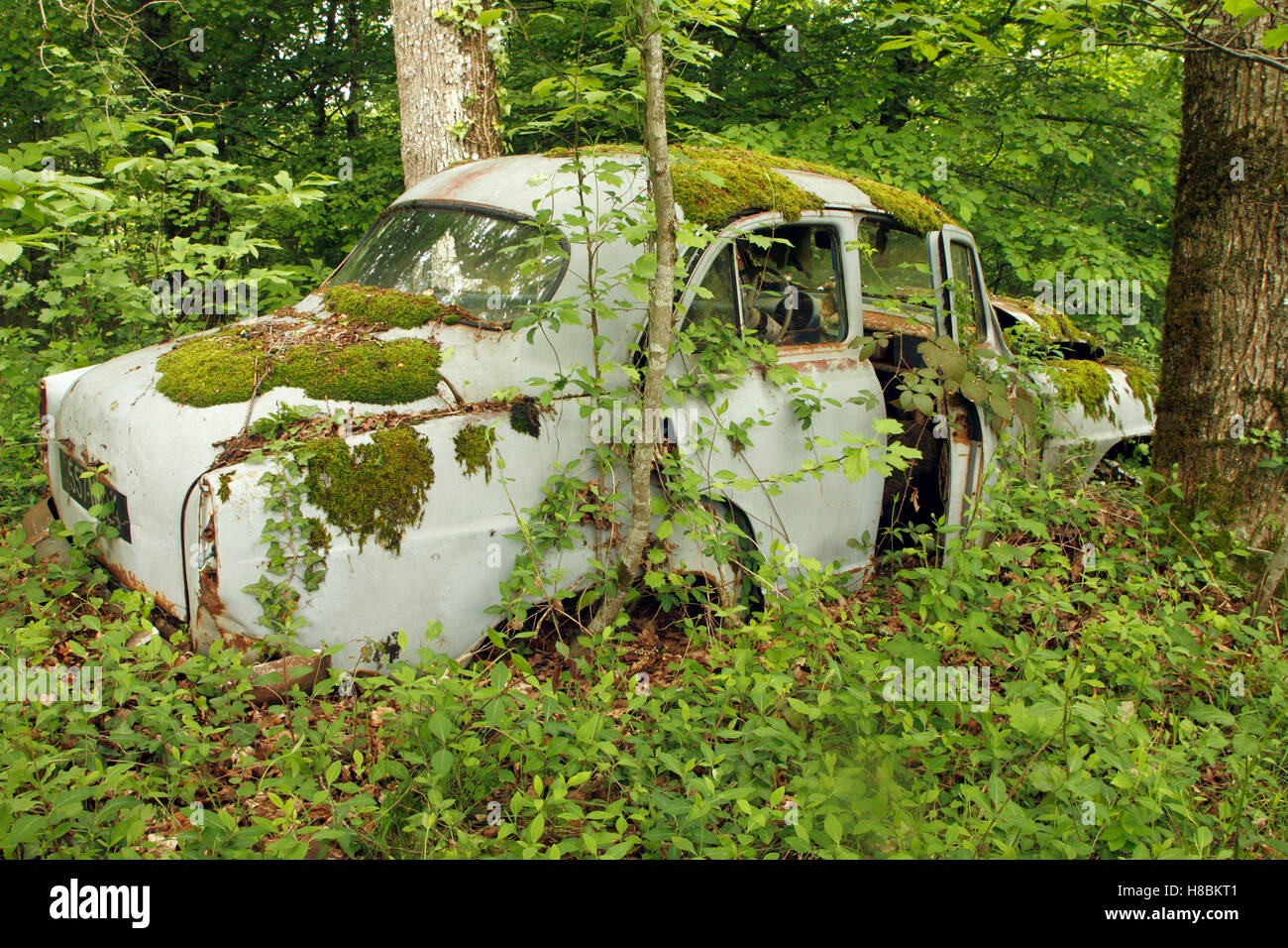Old Simca Aronde car wreck in forest, Saint-Jory-las-Bloux, Dordogne ...