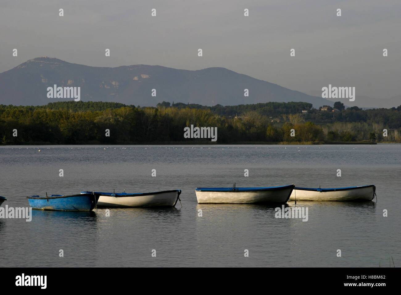 Estany de Banyoles, Lake of Banyoles, Girona, Cataonia, Spain Stock Photo