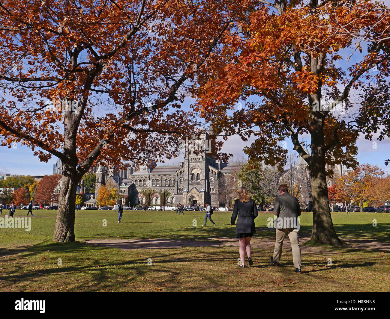 oak trees in fall colors on University of Toronto campus Stock Photo