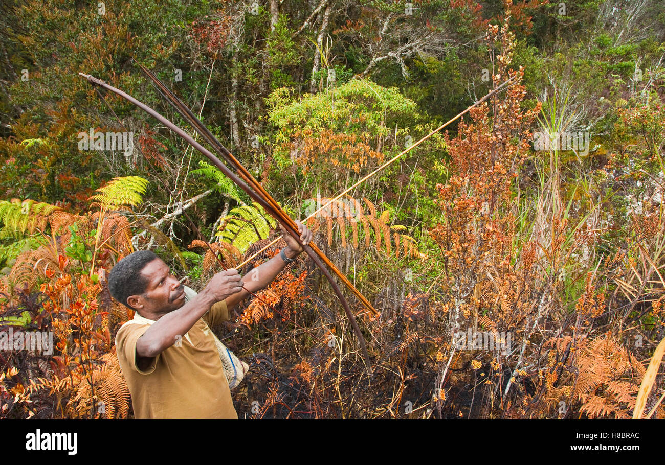 Man hunting with bow and arrow in the forest, New Guinea, Papua New