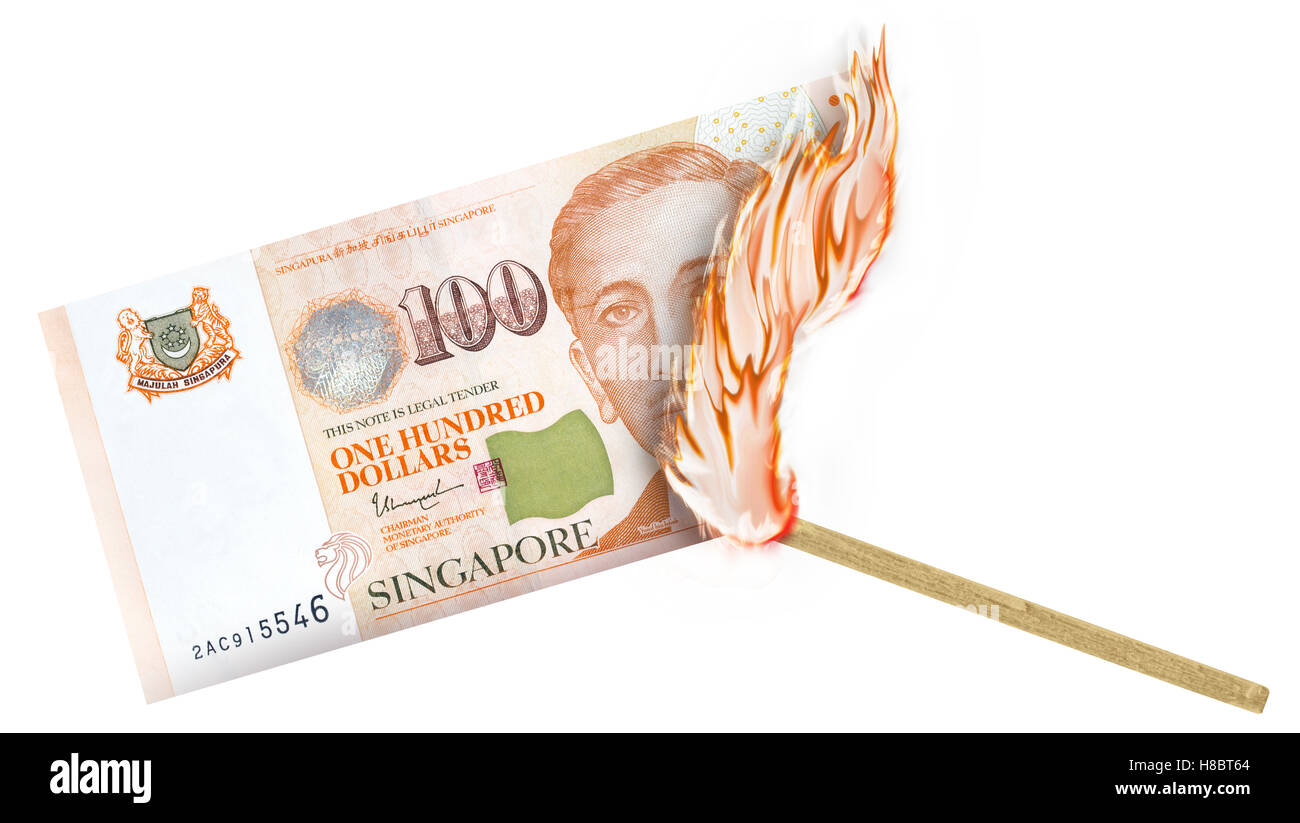 A banknote being burned by a match with burning in a big flame Stock