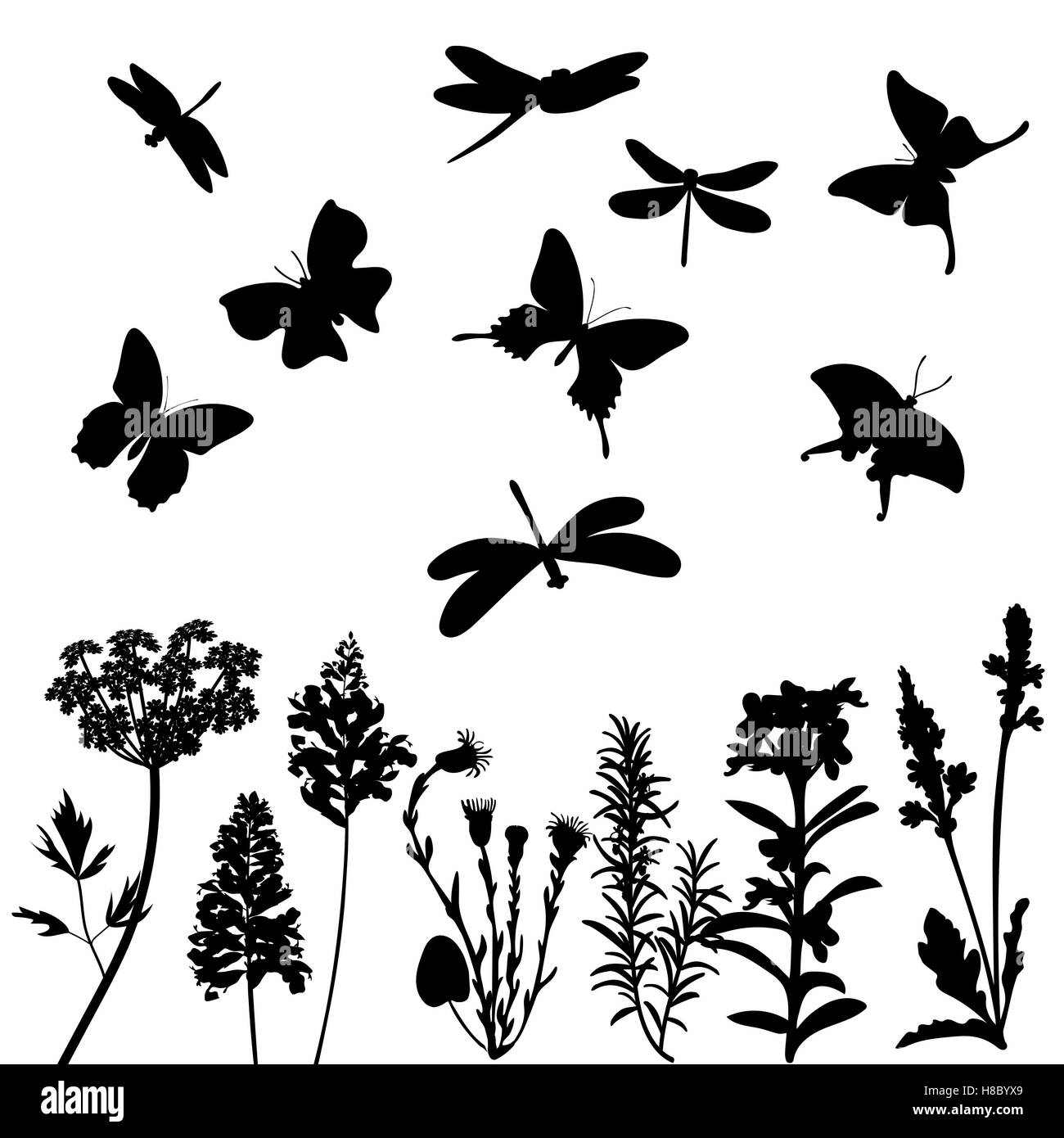 Silhouettes of grass, dragonflies and butterflies isolated. black and white Stock Vector