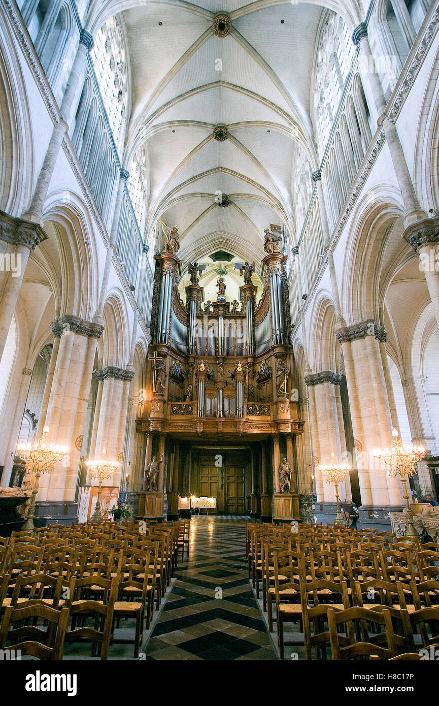 SaintOmer (northern France) SaintOmer Cathedral Stock Photo Alamy