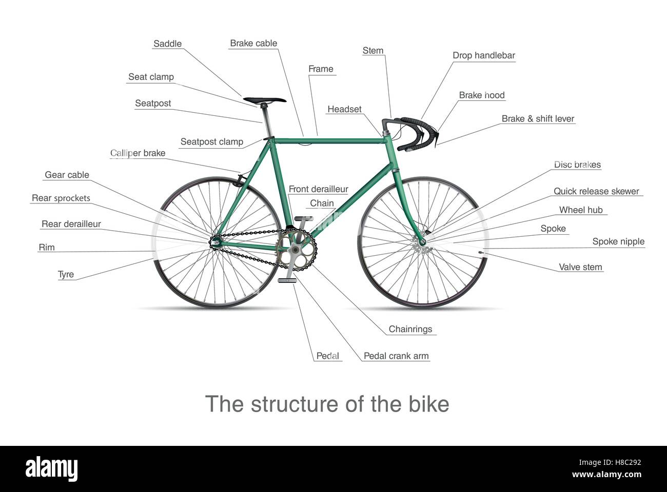 infographic of the main bike parts with the names Stock Vector Image & Art  - Alamy