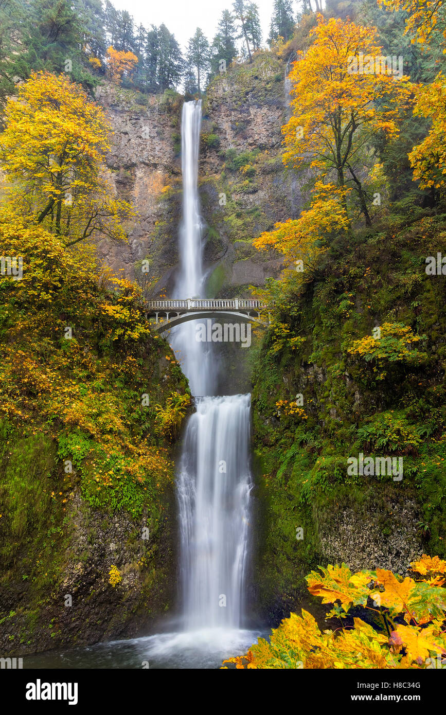 Fall Colors at Multnomah Falls in Columbia River Gorge Stock Photo - Alamy