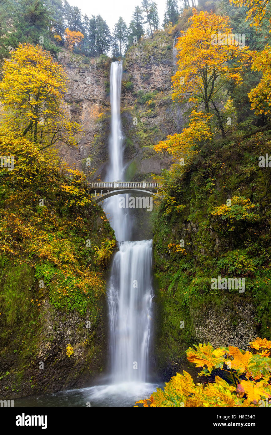 Fall Colors at Multnomah Falls in Columbia River Gorge Stock Photo