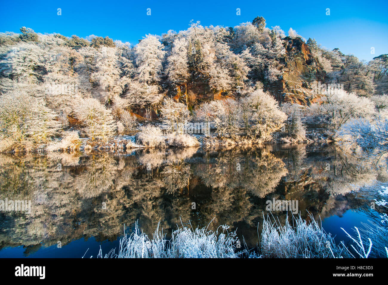 Winter hoar frost covers trees on High Rock beside the River Severn at Bridgnorth, Shropshire, England, UK Stock Photo