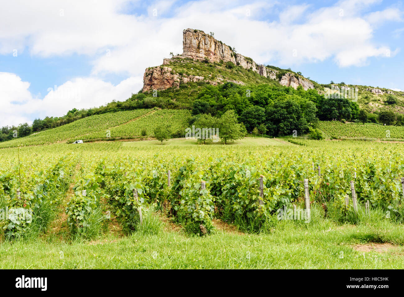 The limestone escarpment known as the Rock of Solutré, overlooking the vineyards of Solutré-Pouilly in Southern Burgundy, France Stock Photo
