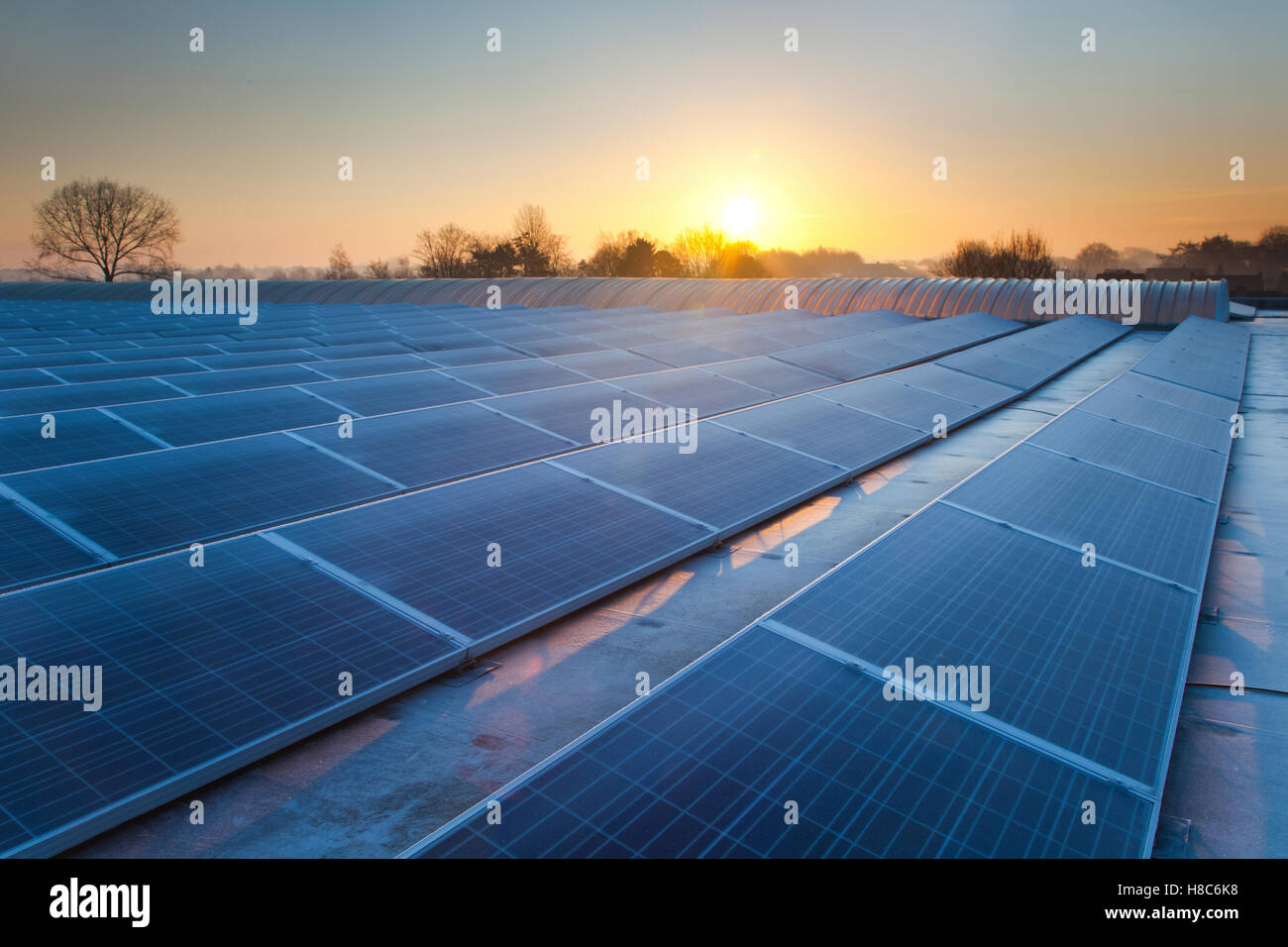 Industrial solar panels, Belgium Stock Photo Alamy