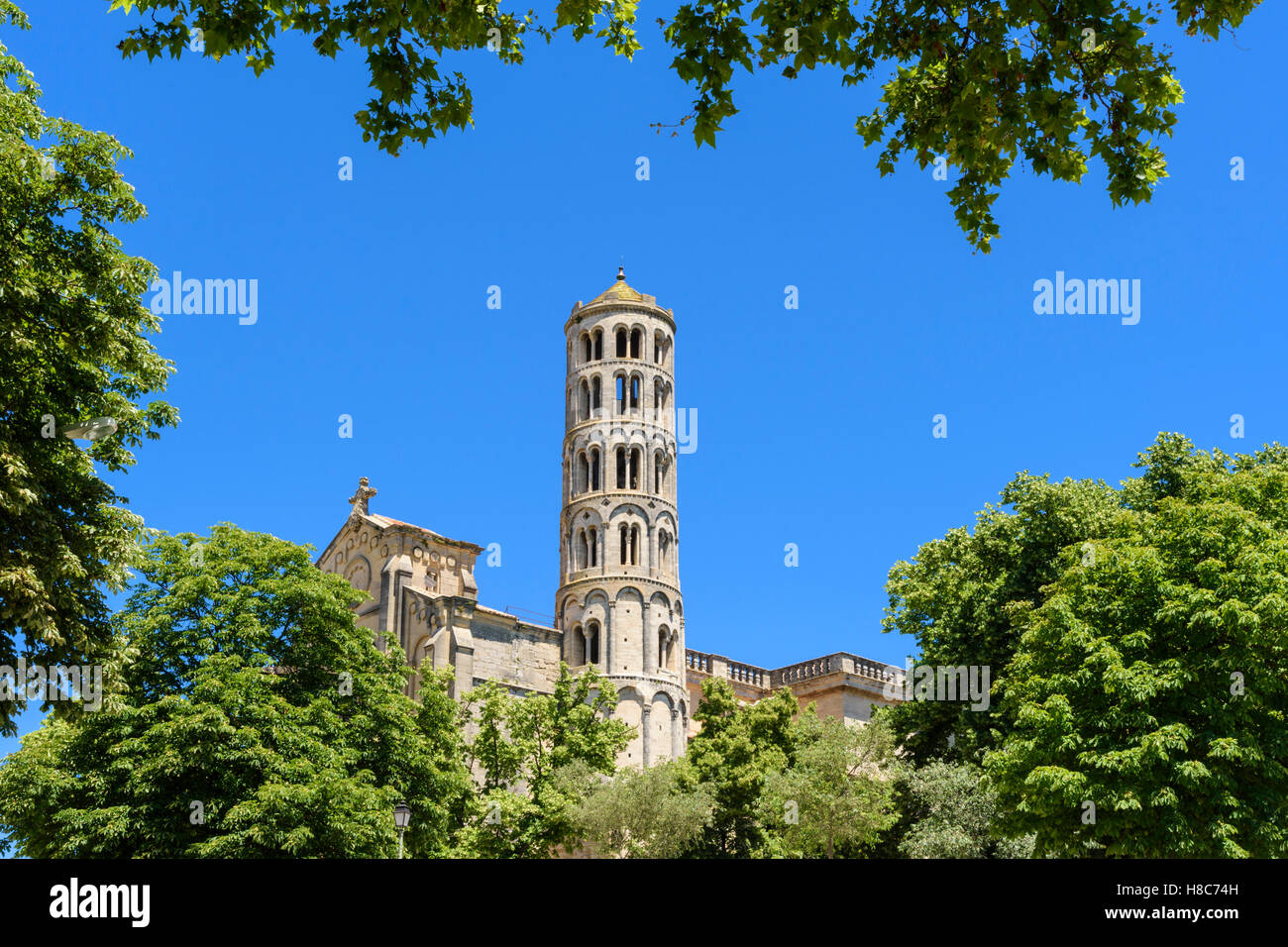 Tree framed Fenestrelle tower and Cathedral of Saint Théodorit, Uzès, Gard, France Stock Photo