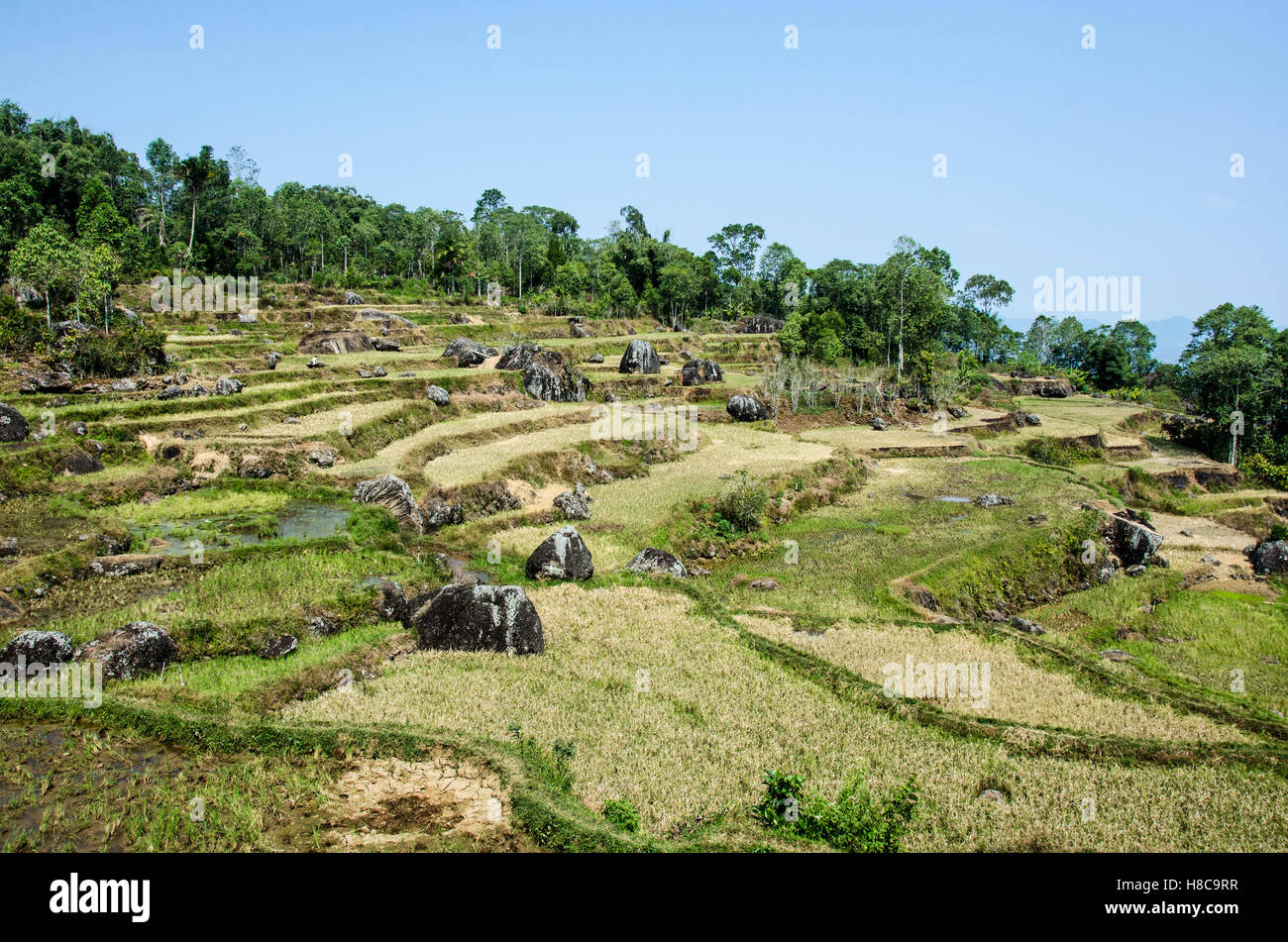 Landscape of Batutumonga, South Sulawesi Stock Photo