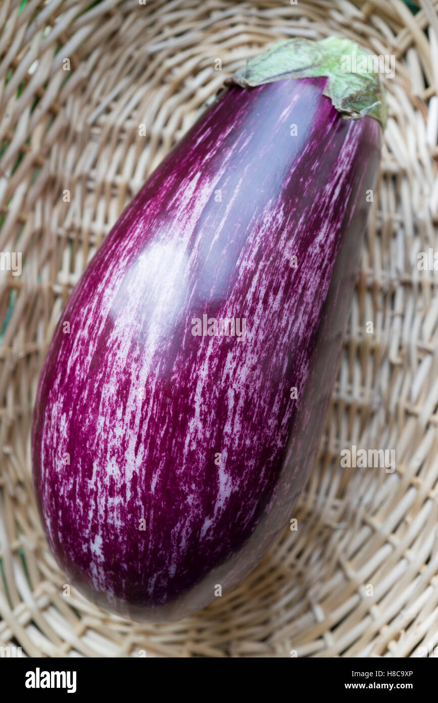 Uncooked fresh aubergine or eggplant Stock Photo