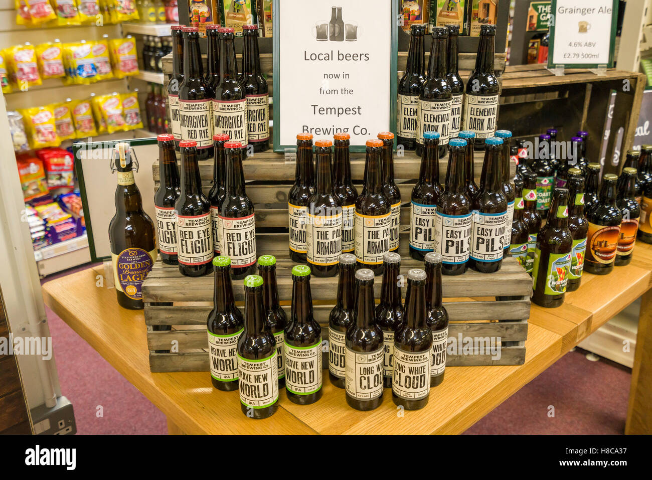Tempest craft brewery beers on sale in garden centre - local beers. Kelso, Scotland. Stock Photo