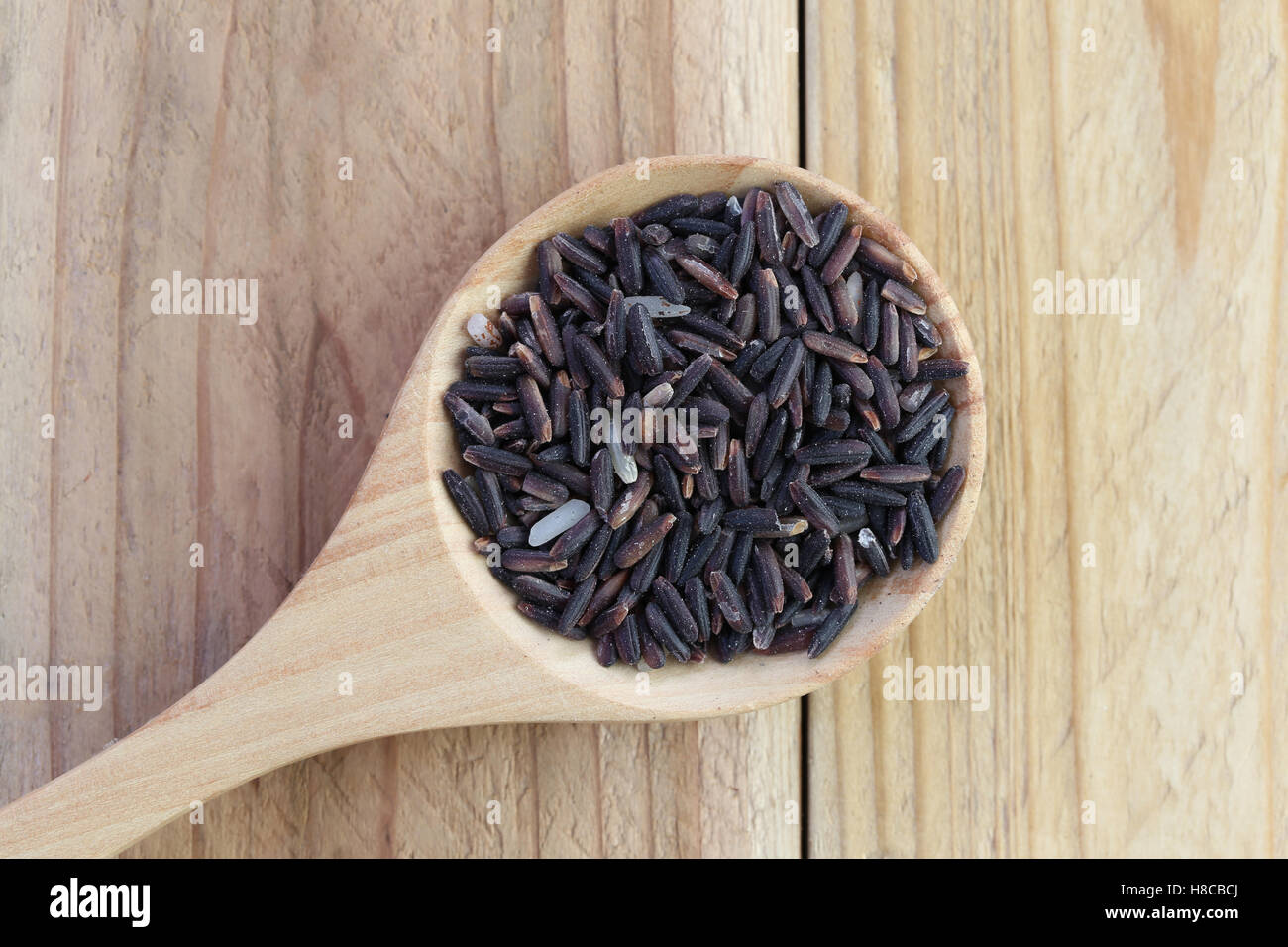 Wood Insect In Rice Weevil in rice hi-res stock photography and images - Alamy