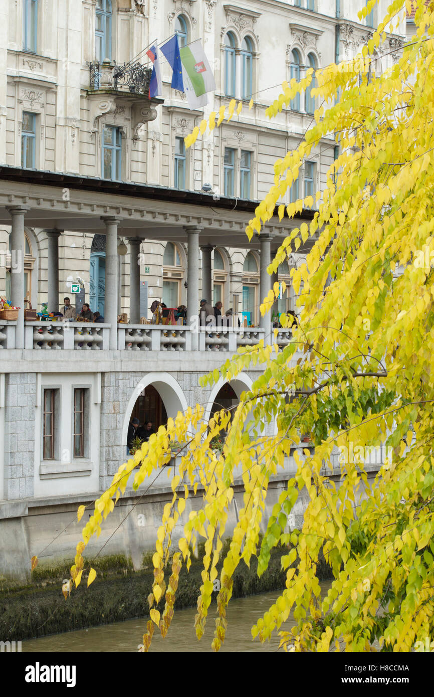 Autumn leaves by colonnades in Ljubljana at the river Ljubljanica, Slovenia, October Stock Photo
