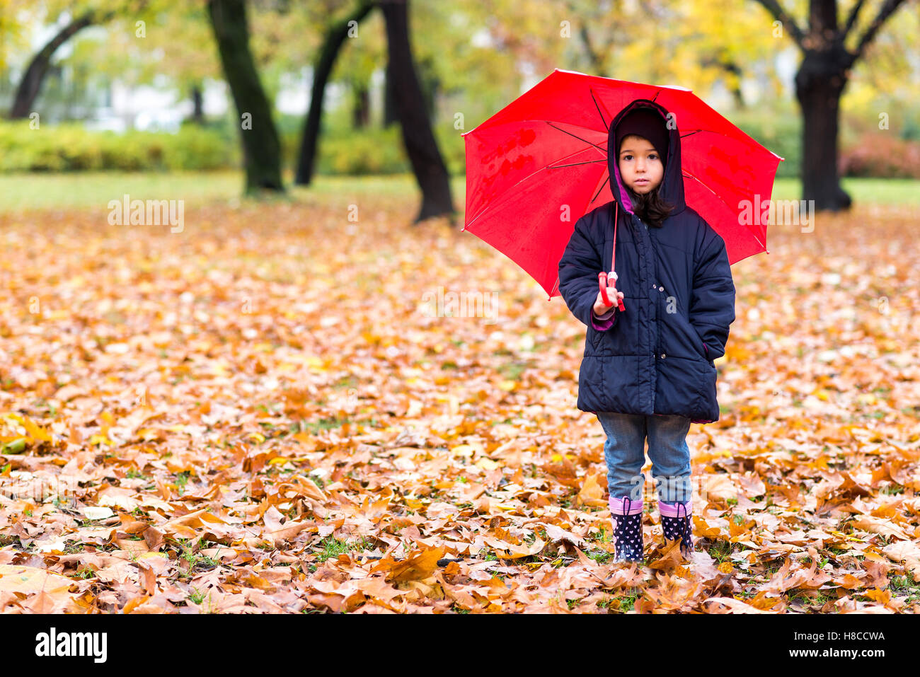 Little girl under umbrella in the autumn park Stock Photo