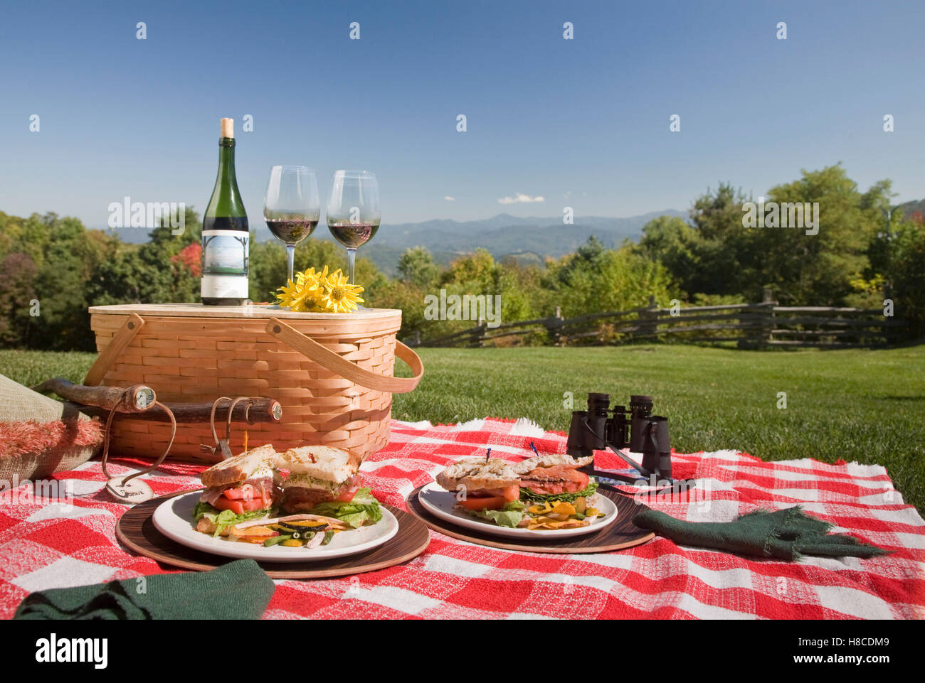 Picnic food on plates on red check blanket in rural setting, Smoky