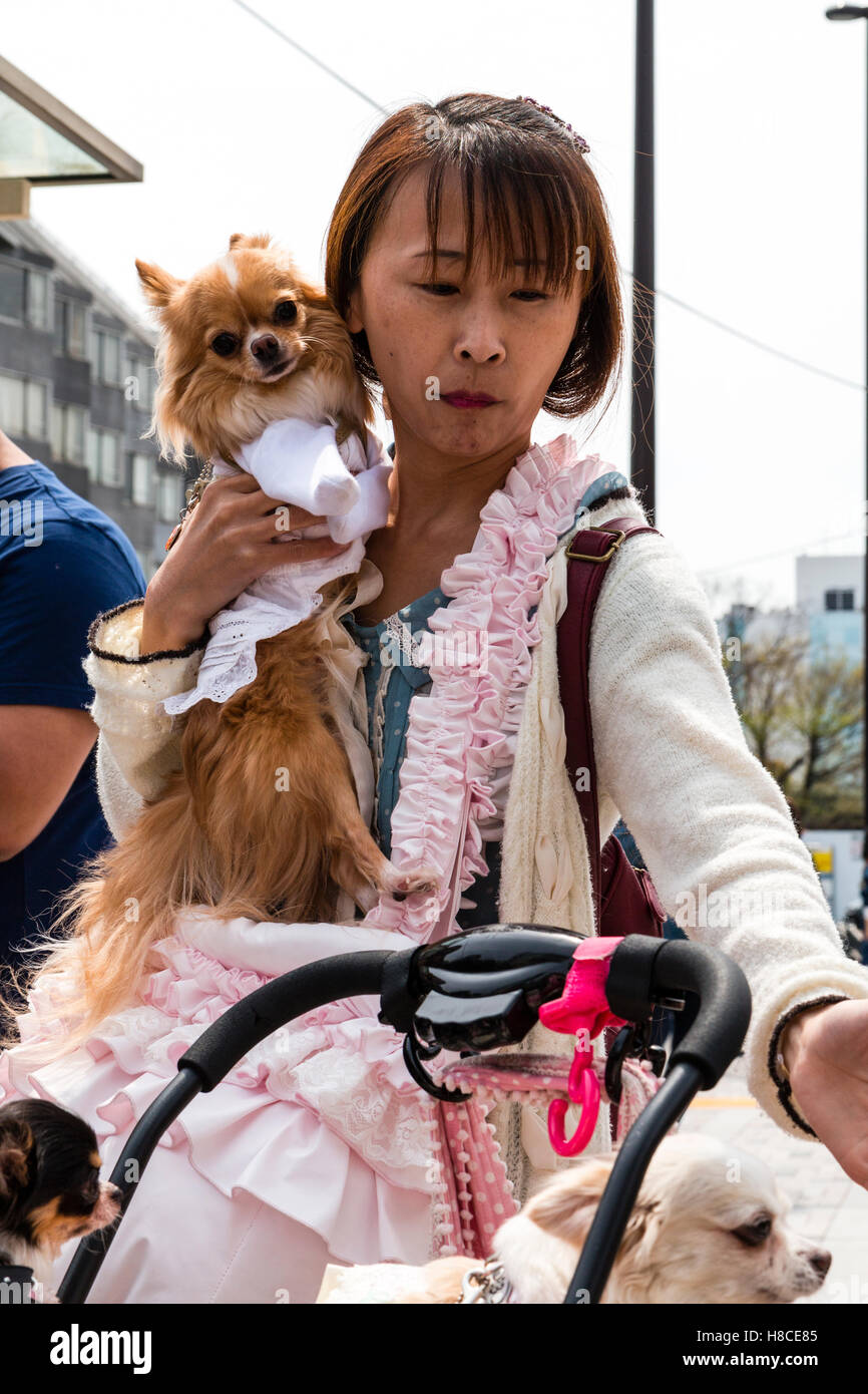 Japan, Tokyo, Harajuku. Japanese women holding her pet dog which is  pampered and dressed in designer fashionable clothing Stock Photo - Alamy