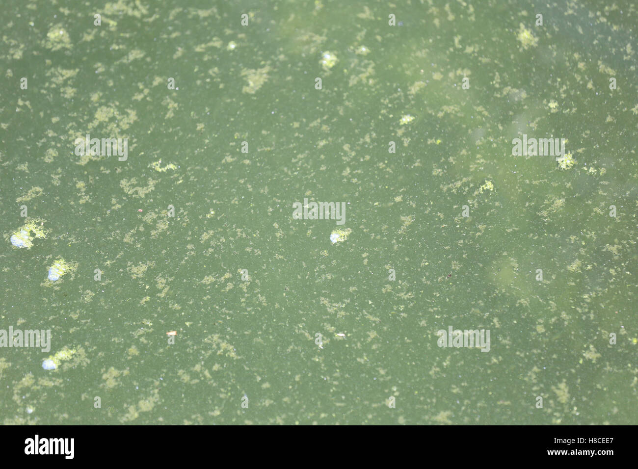 Abstract waste water in canal because waste discharge from industrial ...