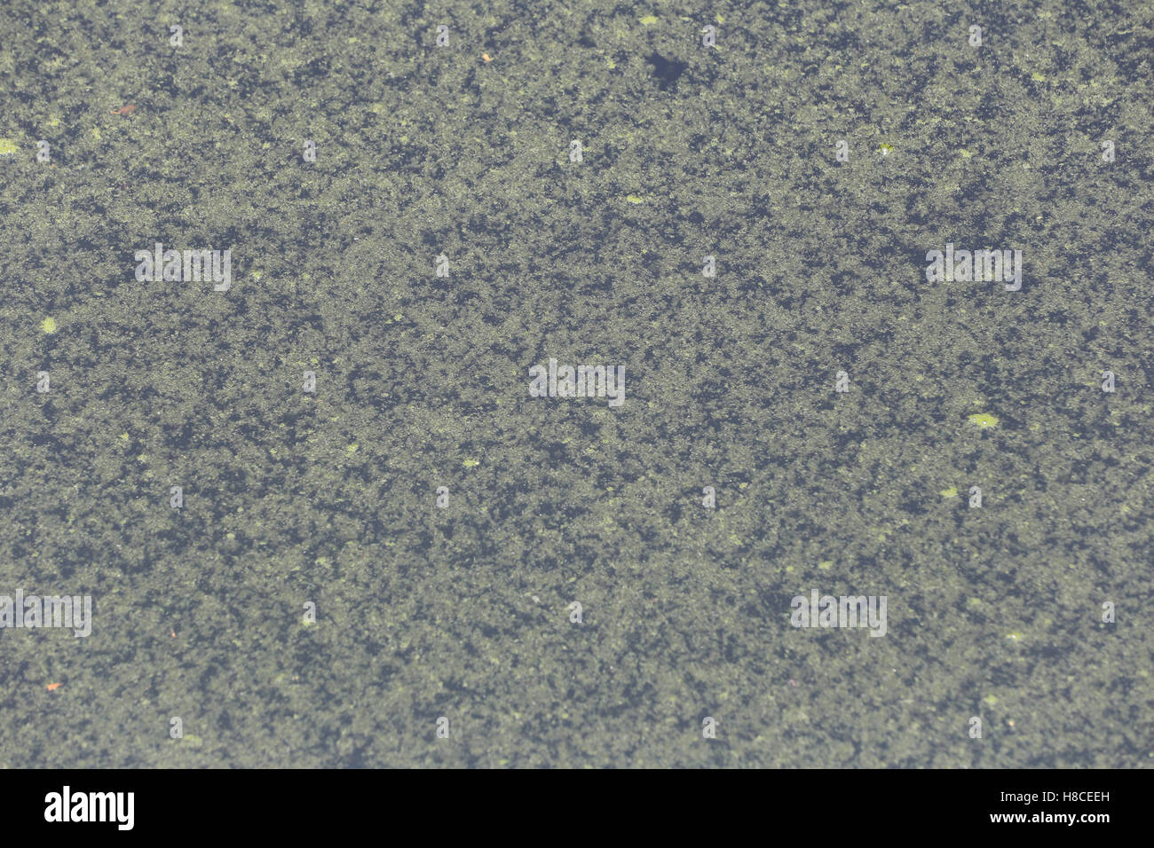 Abstract waste water in canal because waste discharge from industrial ...