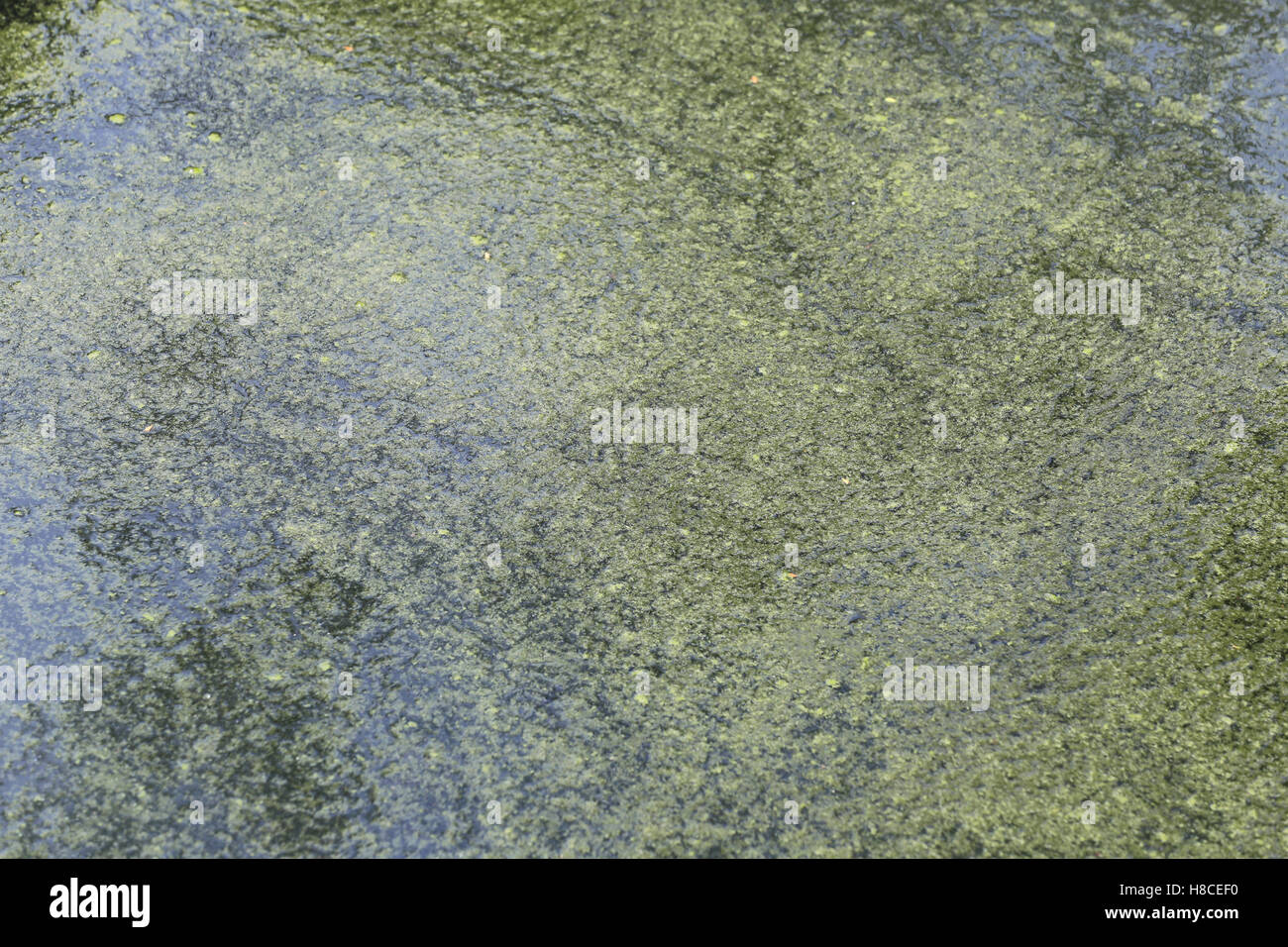 Abstract waste water in canal because waste discharge from industrial ...