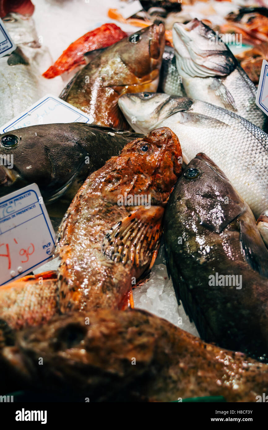 Fish on ice for sale at a market. Stock Photo