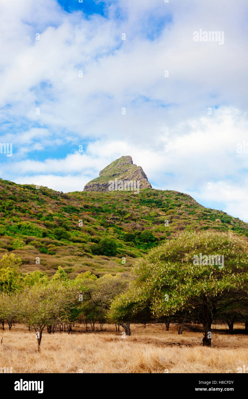 View of Rempart Mountain (Montagne du Rempart) from Casela Nature and