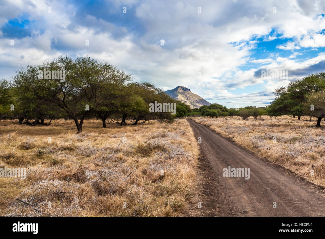 Dirt road in safari park, Casela Nature and Leisure park, Mauritius