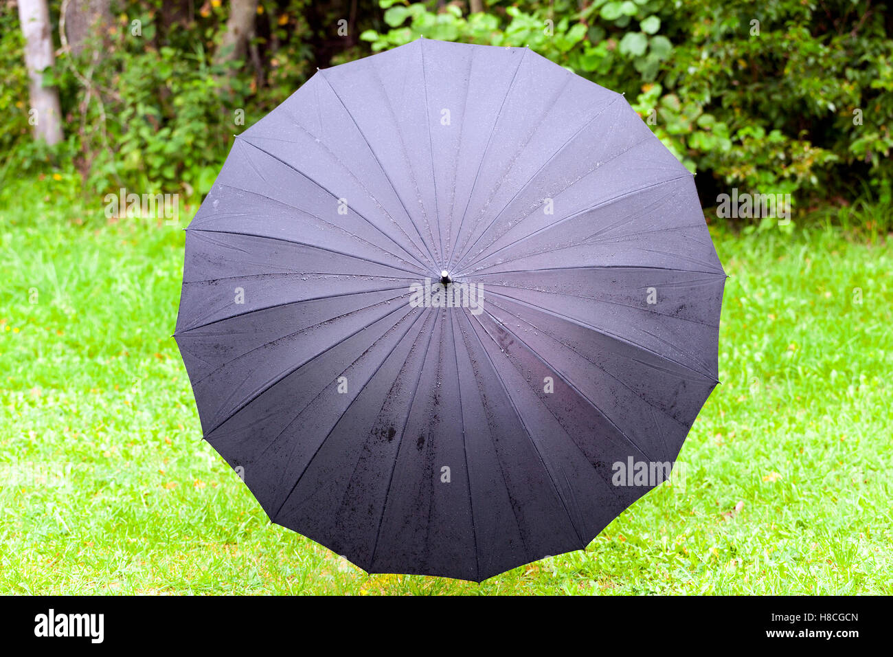 black umbrella with drops Stock Photo Alamy