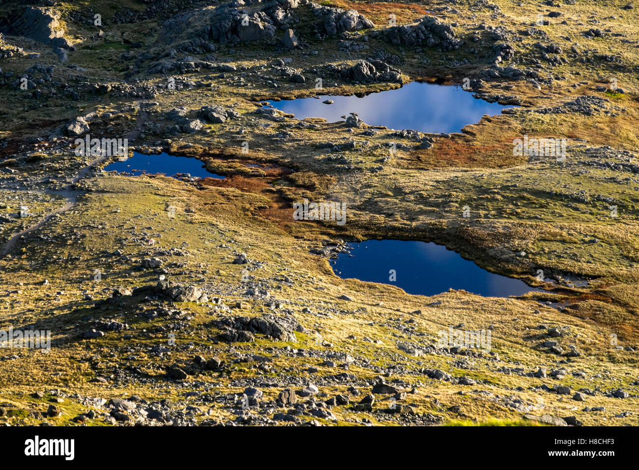 Three Tarns on the ridge between Crinkle Crags and Bowfell in the Lake District Stock Photo