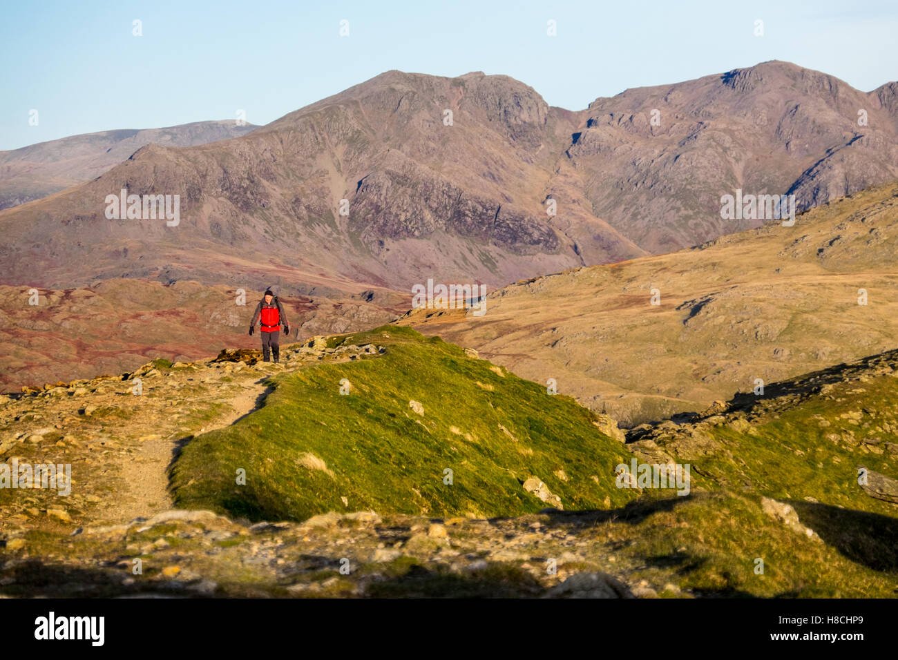 Looking towards Scafell from Conniston Old Man, Lake District National Park with a male hill walker approaching the summit Stock Photo