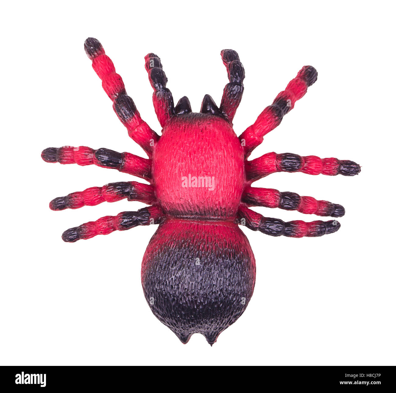 Big black toy rubber spider Cut Out Stock Images & Pictures Alamy