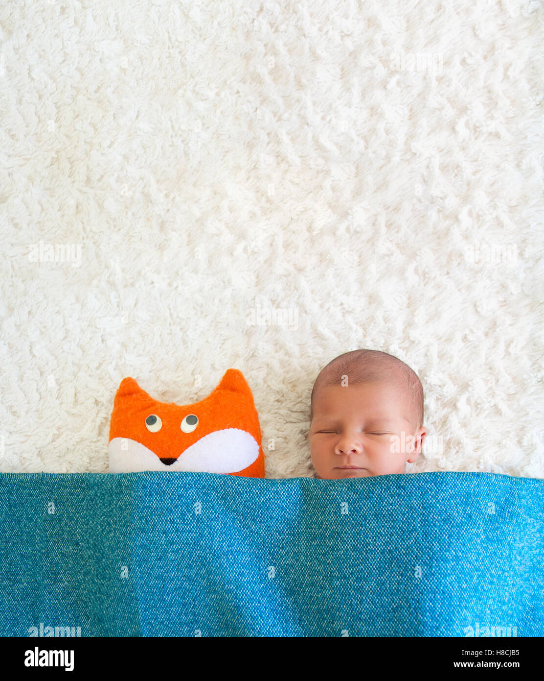 A newborn baby sleeping next to his best friend the fox Stock Photo Alamy