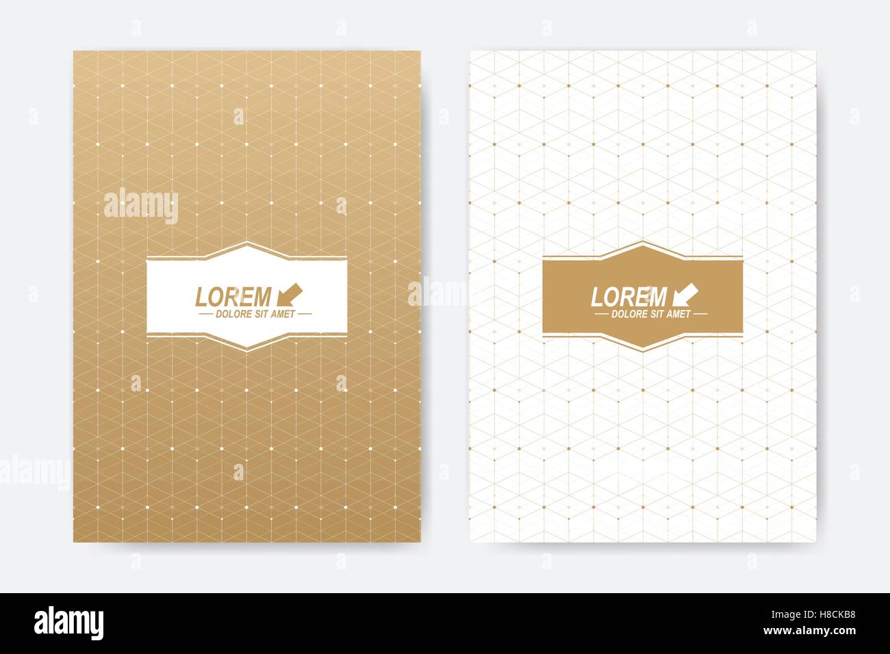 Modern vector template for brochure, Leaflet, flyer, cover, booklet, magazine or annual report. A4 size. Abstract golden presentation book layout. Geometric pattern with connected lines and dots. Stock Vector