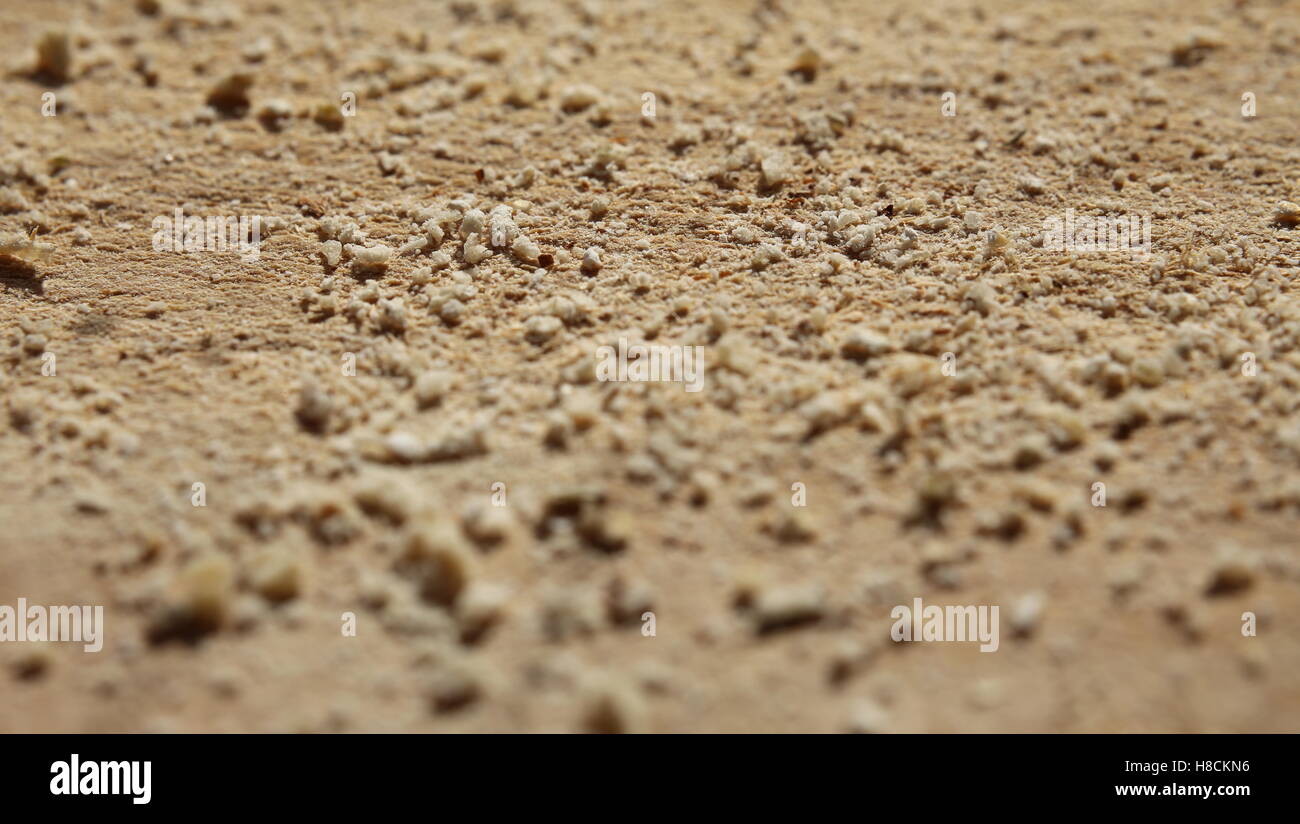 Macro of bread crumbs lying on a wooden slat. Stock Photo