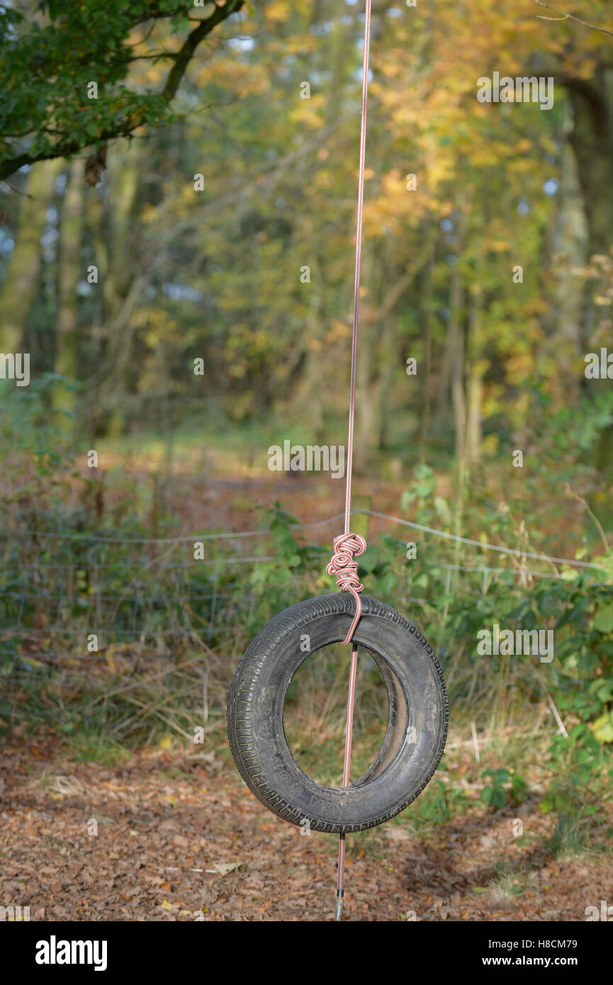 Rope swing with tyre in forest Stock Photo Alamy