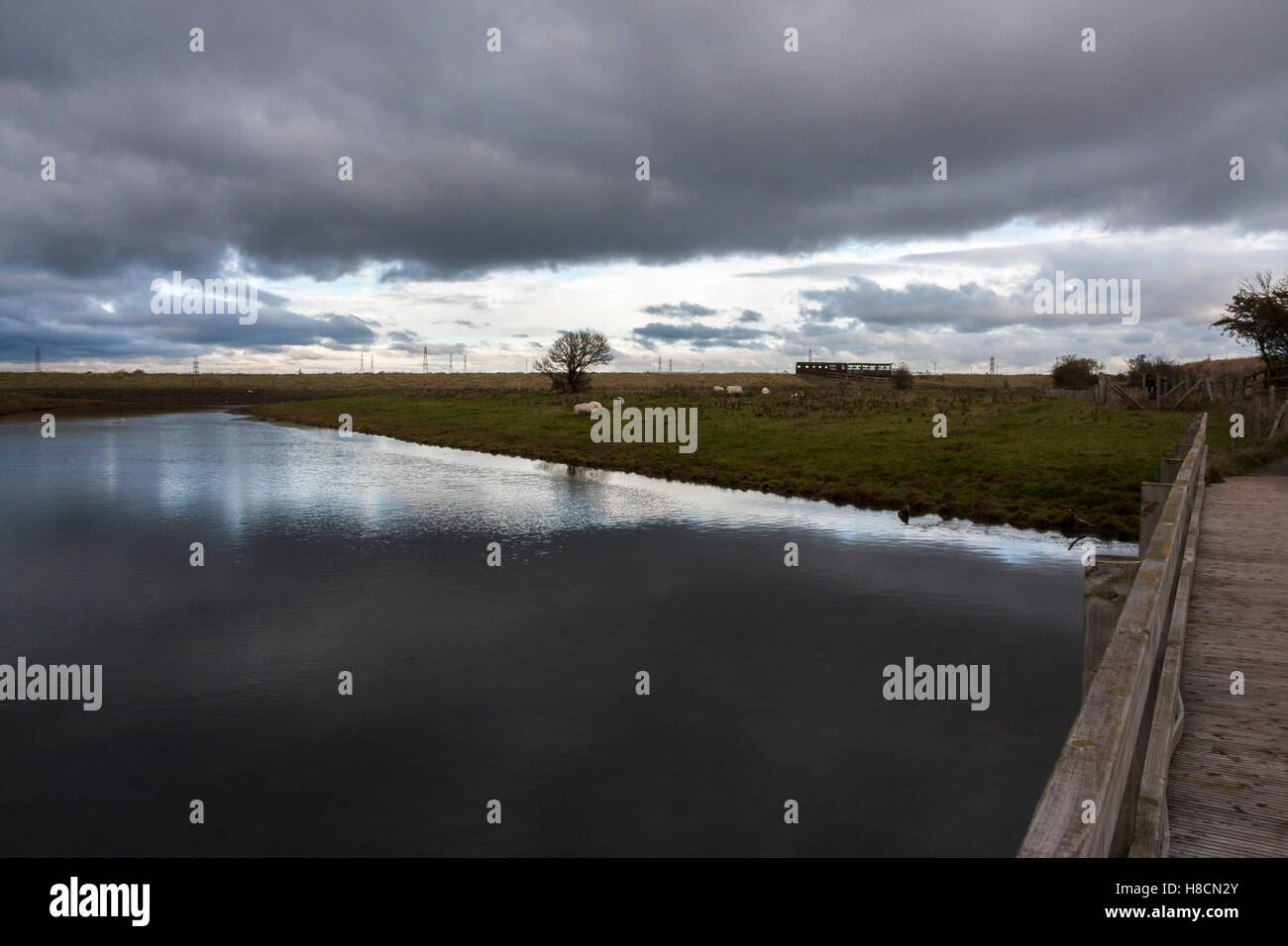 The approach to the wildlife viewing station at Greatham Creek in Hartlepool showing the darkening sky and reflections Stock Photo