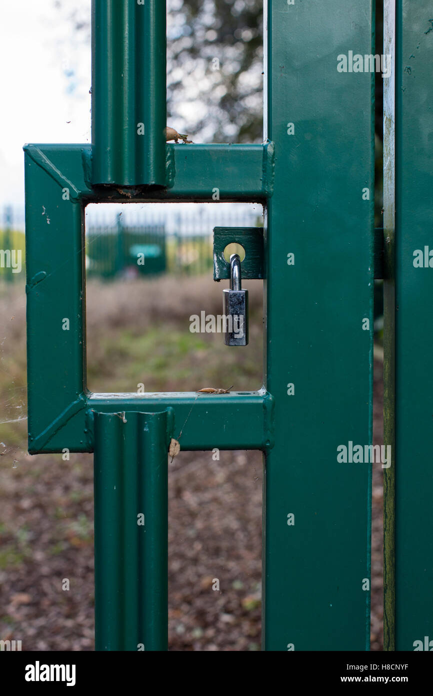 Padlocks and chains securing a metal gate p[ainted green Stock Photo