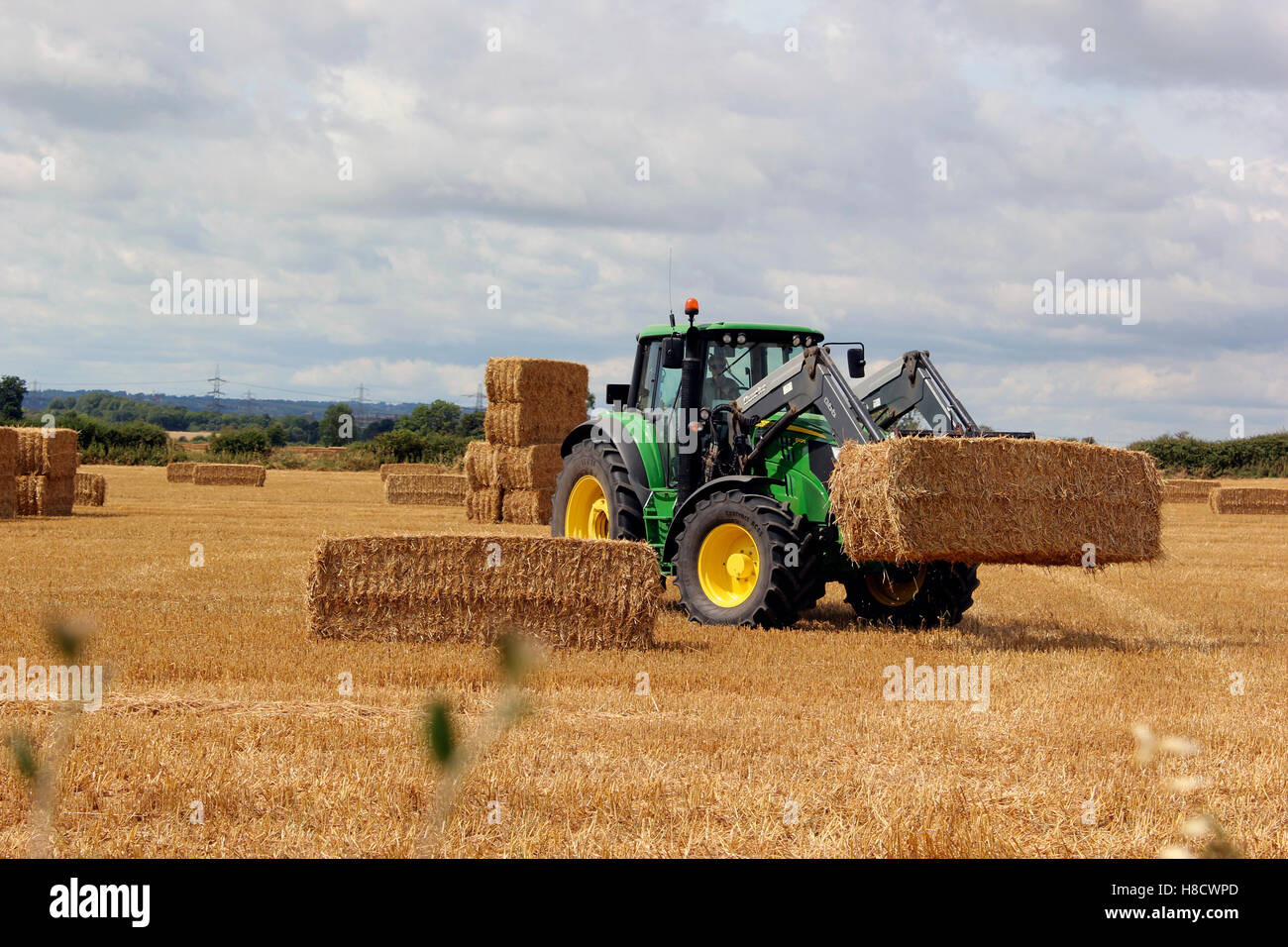 Seasonal harvester stacking square straw bales Stock Photo Alamy