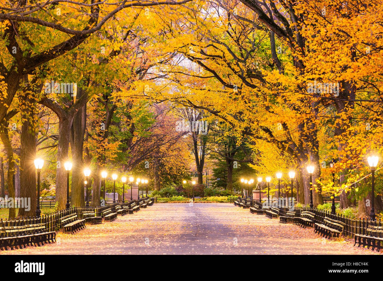 Central Park at The Mall in New York City during predawn hours. Stock Photo