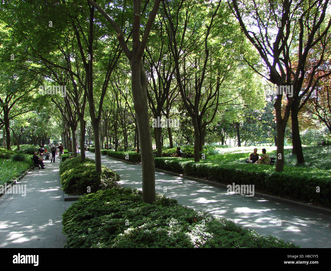 Xujiahui Park with green trees in Shanghai Stock Photo