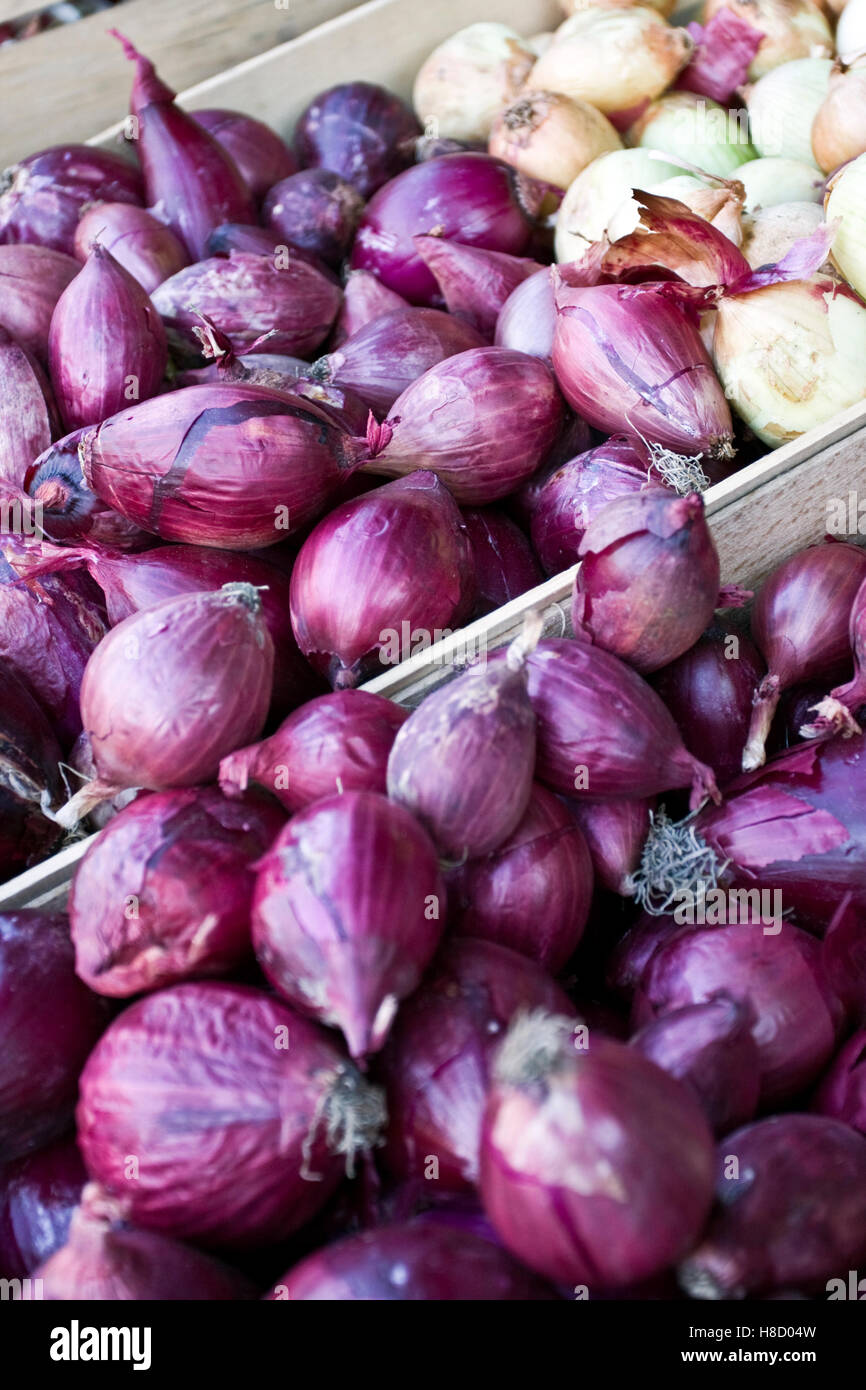 Red onions of Tropea in a wood tray, IGP typical food of Calabria, South of Italy, Italy, Europe Stock Photo