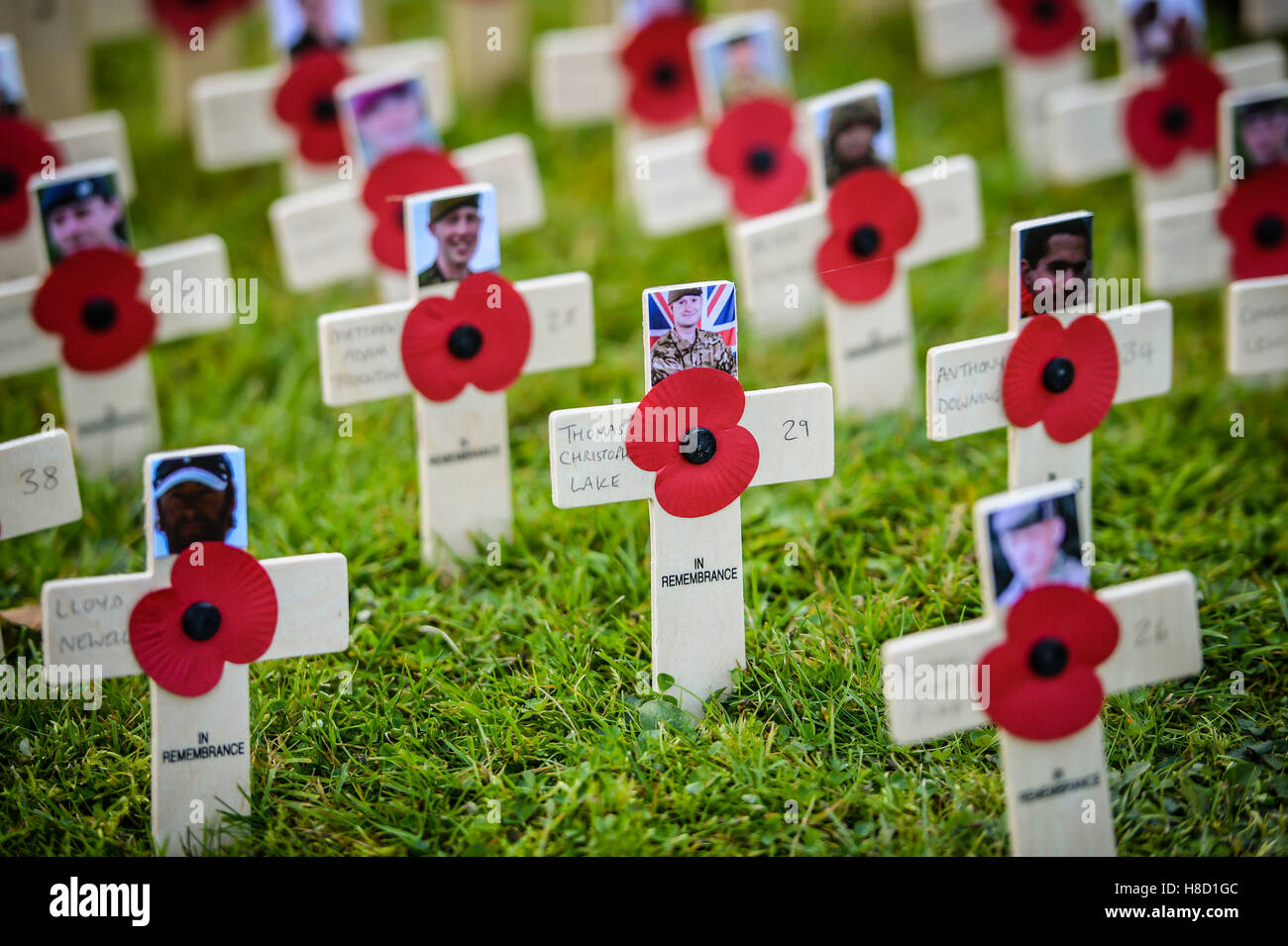 Poppies on crosses dedicated to service personnel who lost their lives in Afghanistan during a service for the opening of the Field of Remembrance at Royal Wootton Bassett, near Swindon. Stock Photo