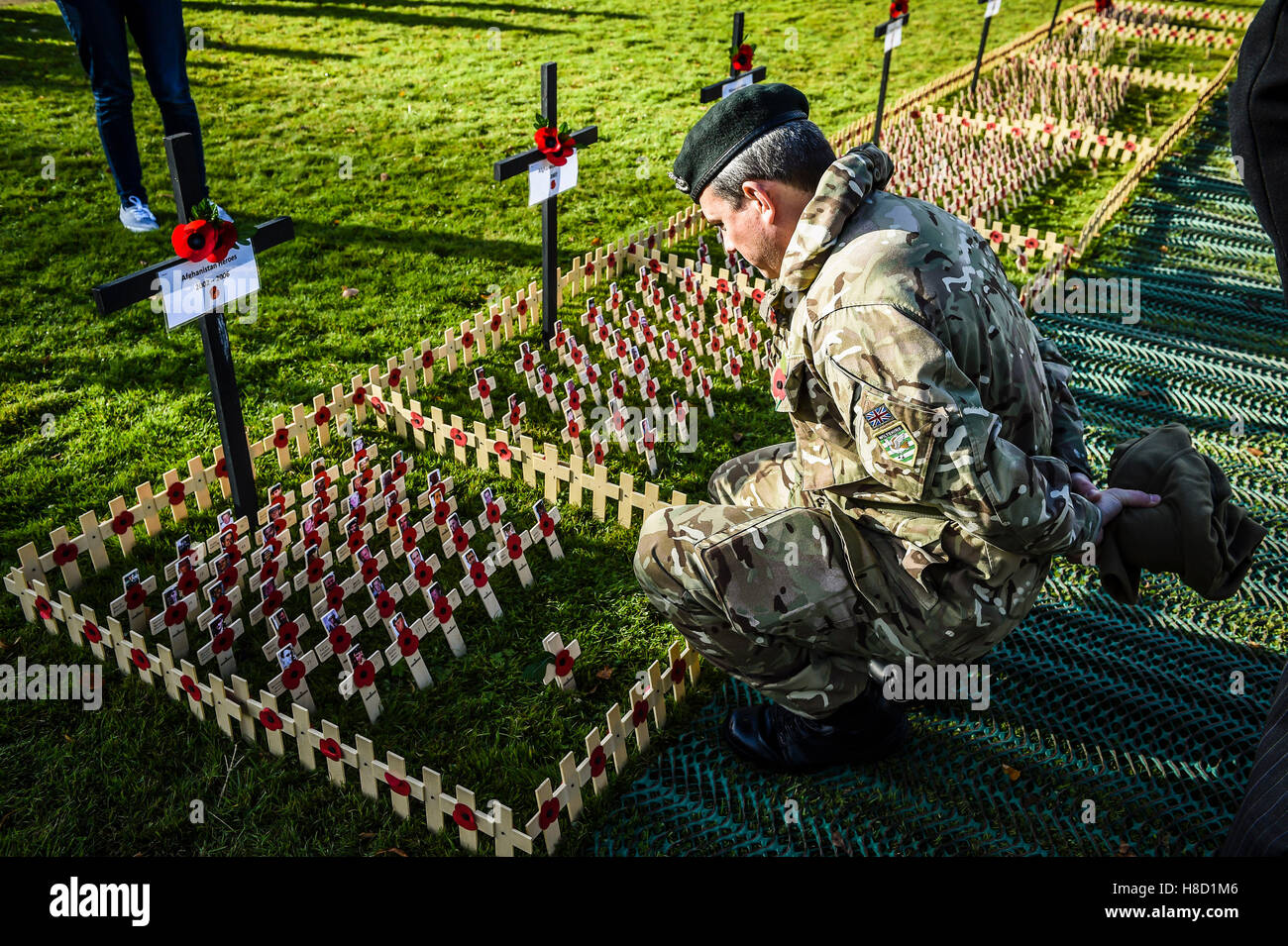 A serviceman inspects poppies on crosses during a service for the opening of the Field of Remembrance at Royal Wootton Bassett, near Swindon. Stock Photo