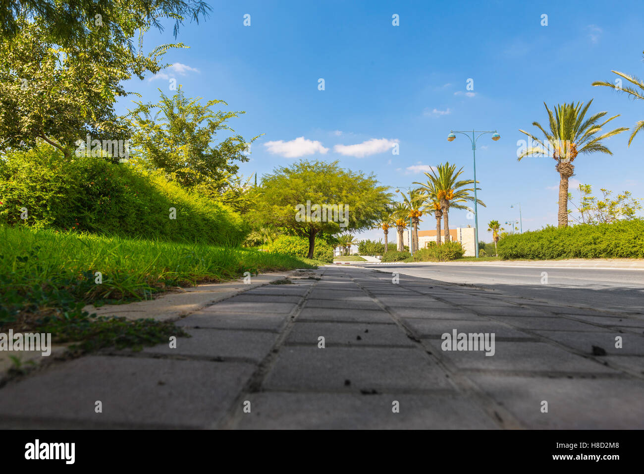 Sidewalk plants hi-res stock photography and images - Alamy