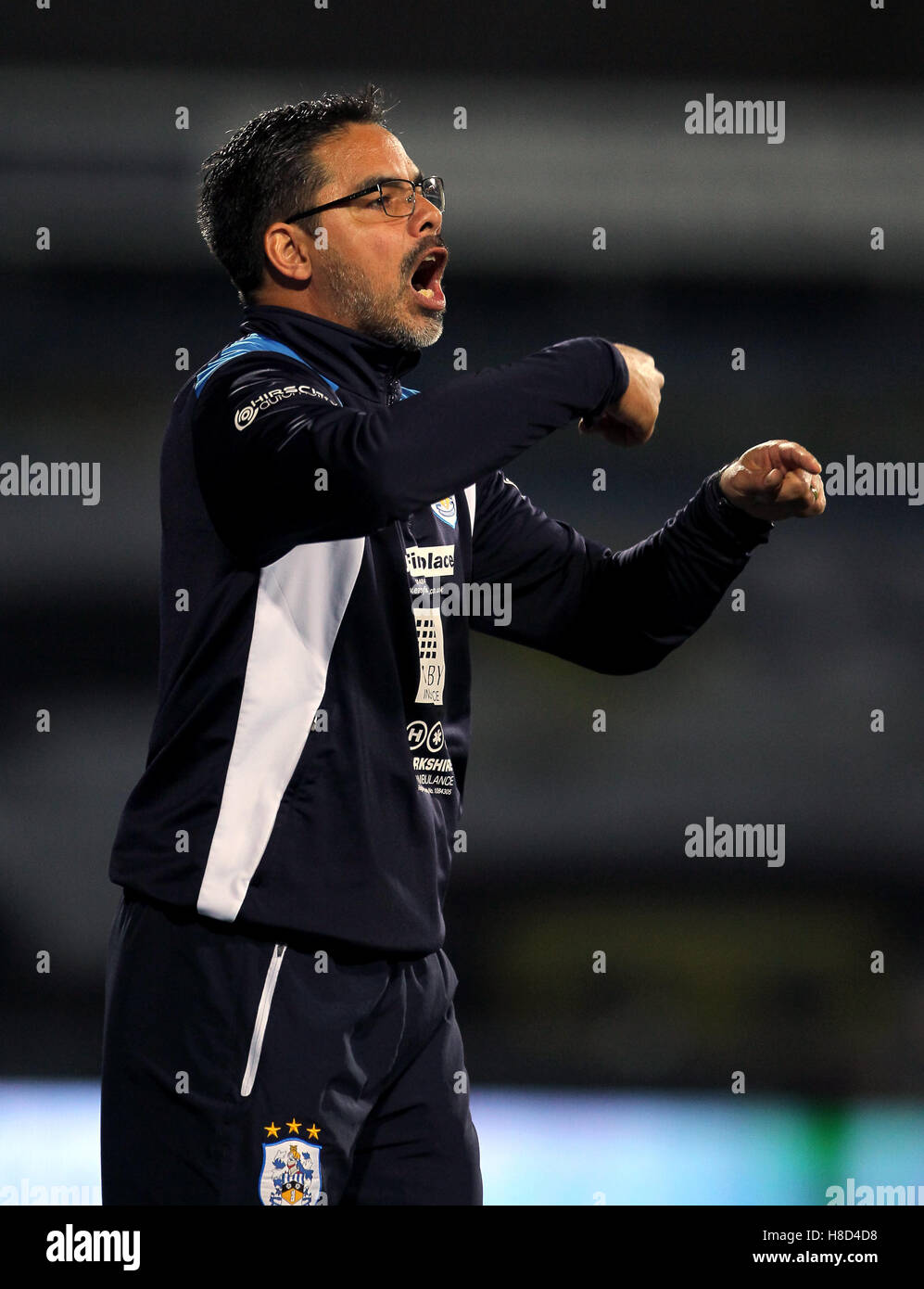 Huddersfield Town manager David Wagner Stock Photo Alamy