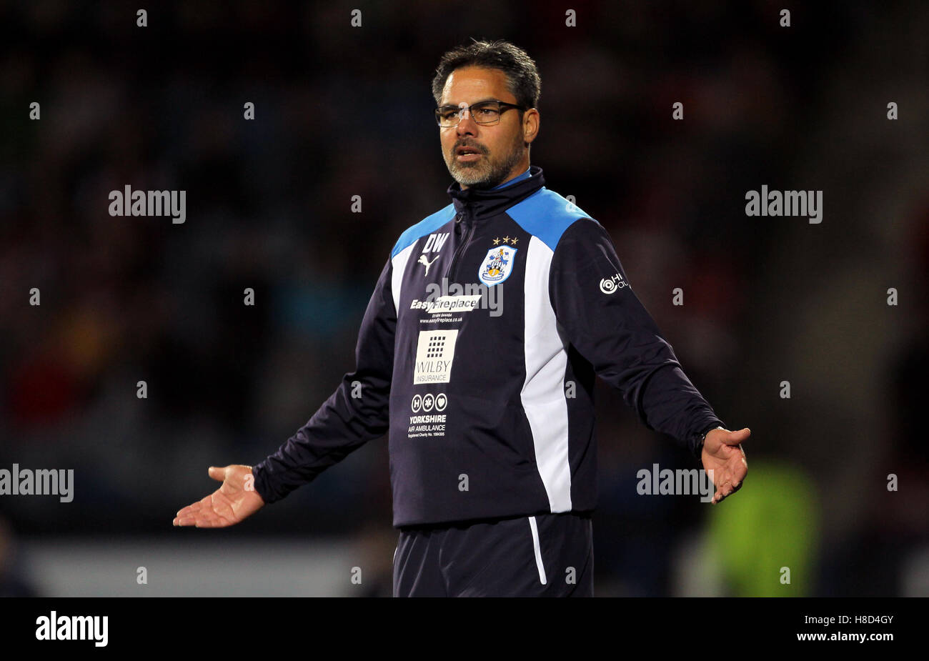 Huddersfield Town manager David Wagner Stock Photo Alamy