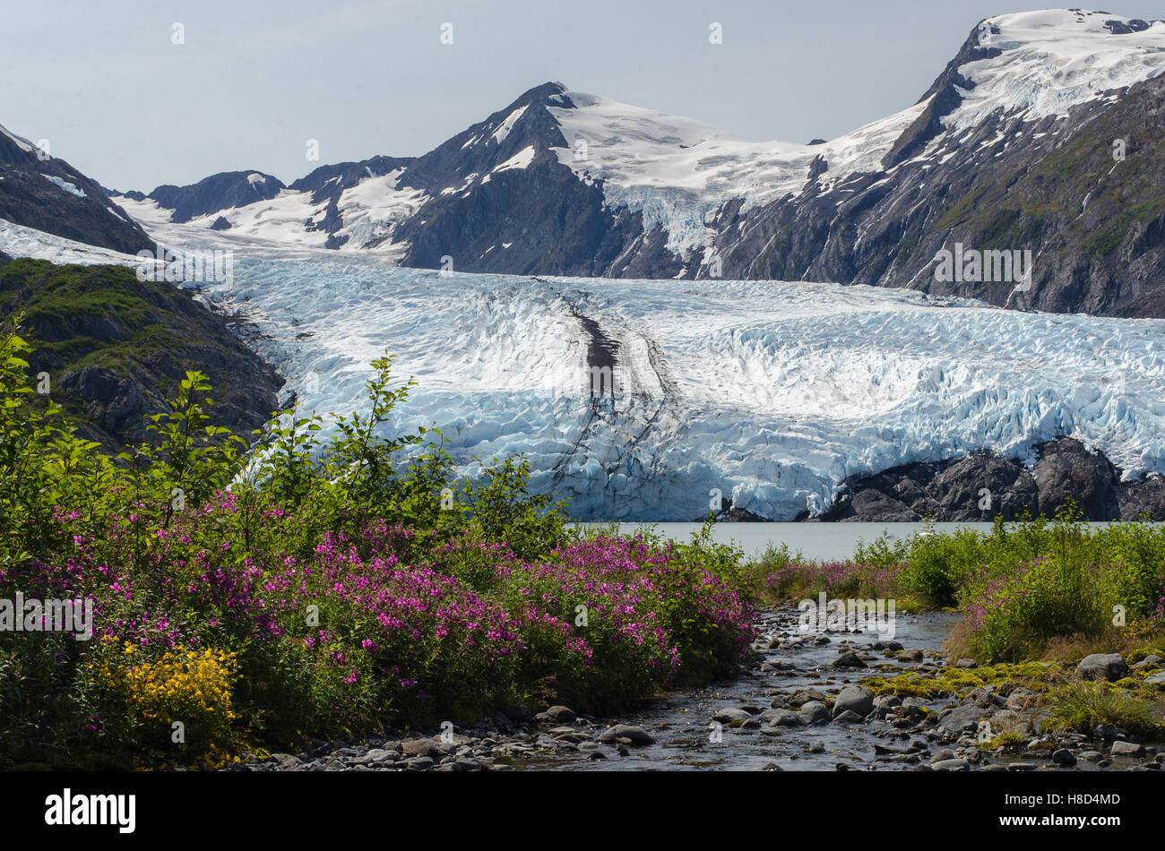 A mountain stream flows into Portage Glacier lake with the glacier in the background. Stock Photo