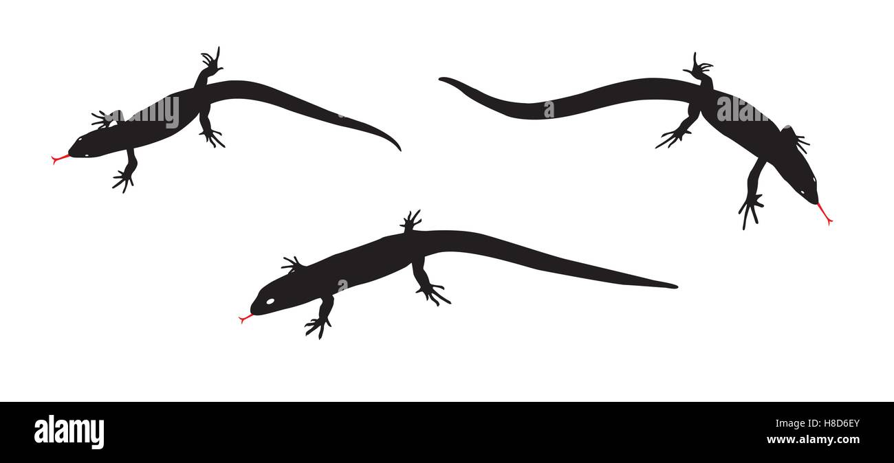 Set of Black and white silhouette  lizard. Vector Illustration Stock Vector